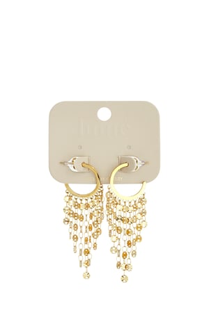 Dangle Earrings Tassel Casual Daily Gathering/Party Simple Series Women's jewelry h5 Picture5