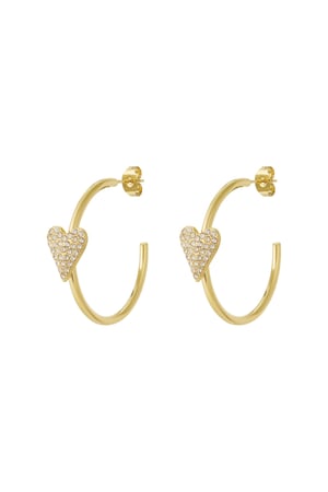 Heart hoop Earrings h5