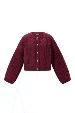 Gebreide Polyestervezel Vrouwen Cardigan Herfst/Winter Elegante Solide Kleur h5 Afbeelding11