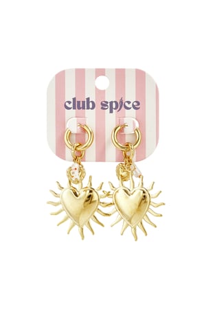 Stainless Steel Drop Earrings Heart Casual Daily Simple Series Women's jewelry h5 Picture5