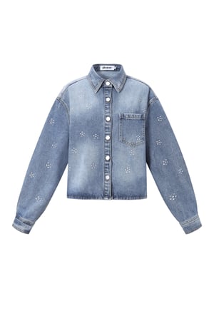 Strass Denim Jacket h5