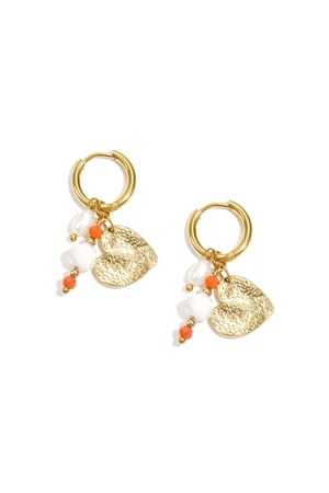 Earrings with beads and heart charm h5