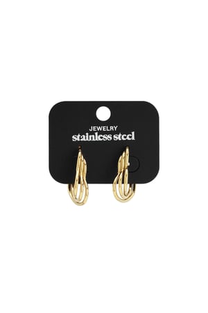 Stainless Steel Hoop Earrings Heart Casual Daily Simple Series Women's jewelry h5 Picture5