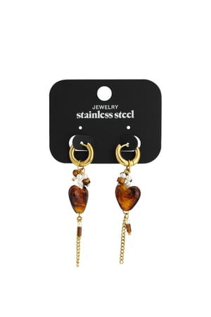 Stainless Steel Drop Earrings Heart Casual Daily Simple Series Women's jewelry h5 Picture5