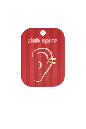 Stainless Steel Ear Cuffs lines Daily Daily Simple Series Women's jewelry h5 Picture4