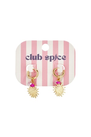 Stainless Steel Drop Earrings sun Casual Daily Simple Series Women's jewelry h5 Picture2