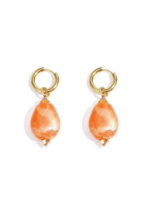 Resin Drop Earrings irregular shape Casual Daily Simple Series Women's jewelry h5