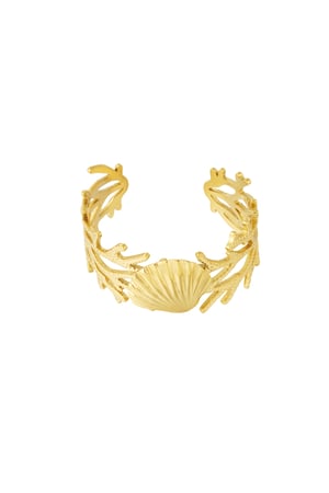 Golden reef bracelet h5 