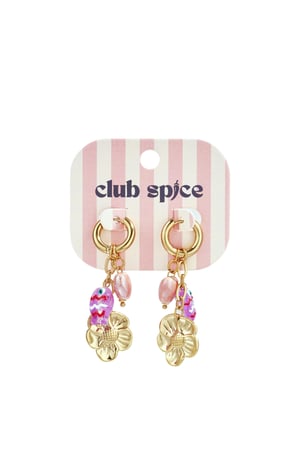 Stainless Steel Drop Earrings fish Casual Romantic Series Women's jewelry h5 Picture3