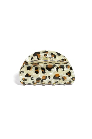 Hair Clips Leopard Print Daily Acrylic Daily Accessories h5 Picture3