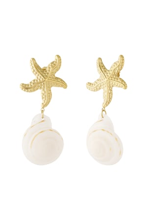 Stainless Steel Drop Earrings Turtle Casual Daily Simple Series Women's jewelry h5