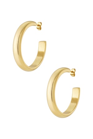 Halo hoop earrings h5 