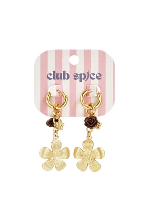 Stainless Steel Dangle Earrings Flower Casual Daily Simple Series Women's jewelry h5 Picture5