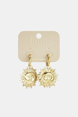 Stainless Steel Drop Earrings sun Casual Daily Simple Series Women's jewelry h5 Picture3