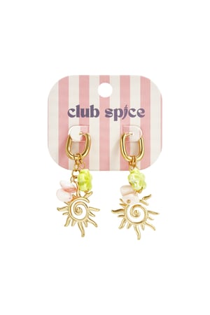 Stainless Steel Drop Earrings Flower Casual Holiday/Beach Romantic Series Women's jewelry h5 Picture6