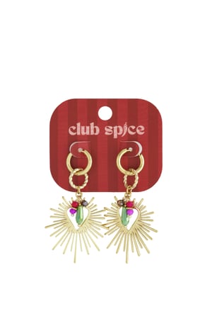 Shining Heart Happy Charm earrings h5 Picture5