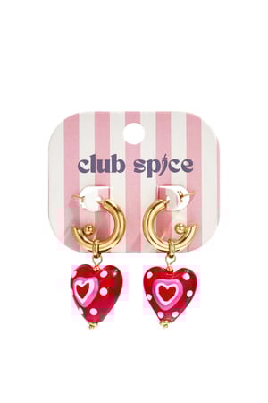 Stainless Steel Drop Earrings Heart Casual Daily Romantic Series Women's jewelry h5 Picture5