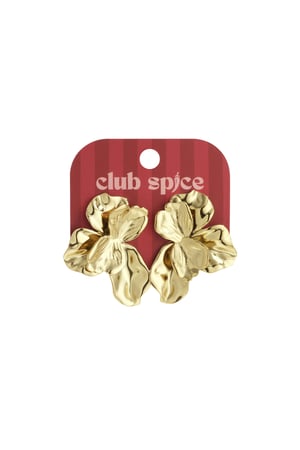 Stainless Steel Stud Earrings Flower Casual Daily Simple Series Women's jewelry h5 Picture5