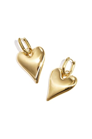 Stainless Steel Drop Earrings Heart Casual Daily Simple Series Women's jewelry h5