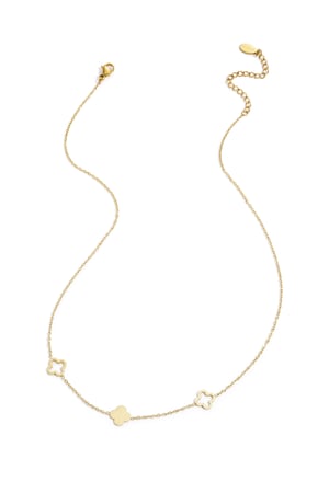 Necklace clovers  Gold Color Stainless Steel h5 