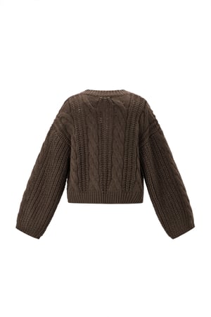 Gebreide Polyestervezel Vrouwen Cardigan Herfst/Winter Elegante Solide Kleur h5 Afbeelding3