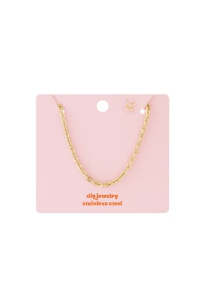 Stainless Steel Chain Necklaces Chain DIY Daily Simple Series Women's jewelry h5 Picture4