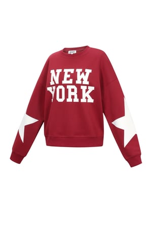 Yıldızlı New York kazağı h5 Resim2