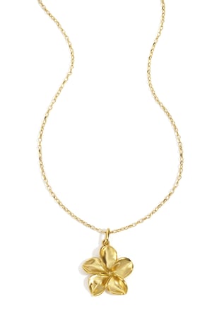 Pendant necklaces Flower Casual Daily Simple Series Women's jewelry h5