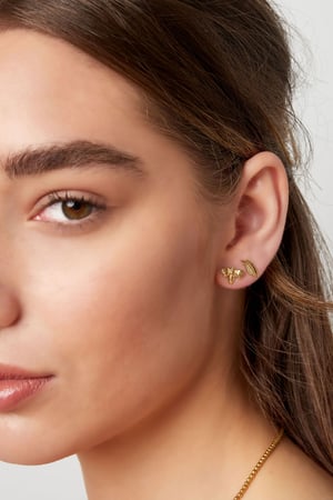 Kulak damızlık tüyü - altın rengi Paslanmaz Çelik h5 Resim2