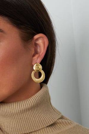 chic elegant earrings h5 Picture3