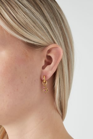 boucles d'oreilles starlight rose h5 Image3