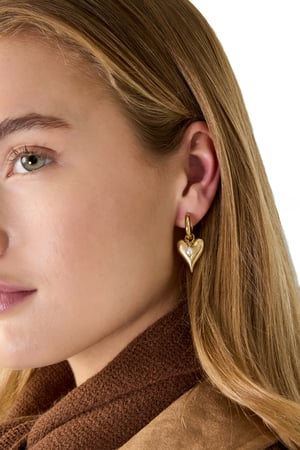 Drop Earrings Heart Casual Daily Simple Series Women's jewelry h5 Picture3