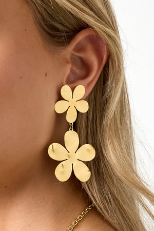 Stainless Steel Drop Earrings Flower Casual Daily Simple Series Women's jewelry h5 Picture3