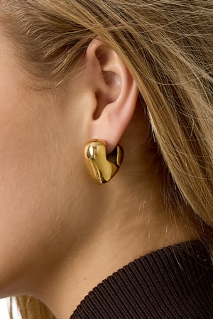 Heart earrings h5 Picture4