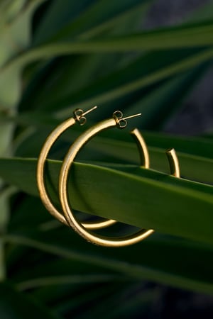 Halka Küpeler Daire Günlük Basit Seri Kadın Takıları h5 Resim2