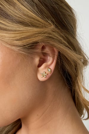 Stainless Steel Stud Earrings irregular shape Casual Daily Simple Series Women's jewelry h5 Picture2