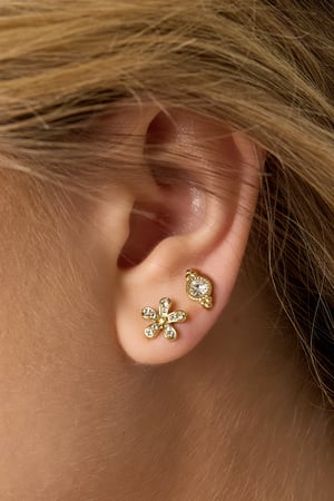 Stainless Steel Stud Earrings irregular shape Casual Daily Simple Series Women's jewelry h5 Picture3