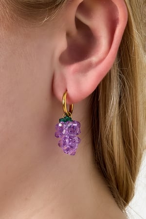 Boucles d'oreilles pendantes en acier inoxydable, série Plant Casual Daily Simple, bijoux pour femmes h5 Image2