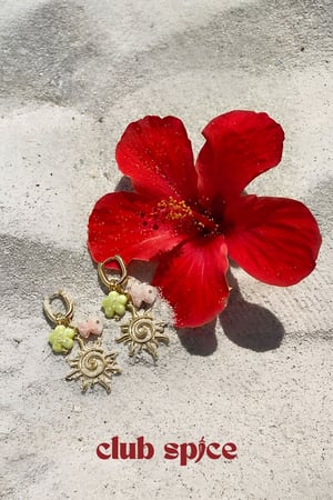 Stainless Steel Drop Earrings Flower Casual Holiday/Beach Romantic Series Women's jewelry h5 Picture4