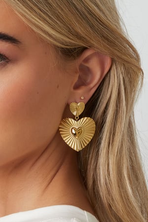 Stainless Steel Drop Earrings Heart Casual Daily Simple Series Women's jewelry h5 Picture3