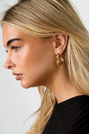 Stainless Steel Hoop Earrings Heart Casual Daily Simple Series Women's jewelry h5 Picture2