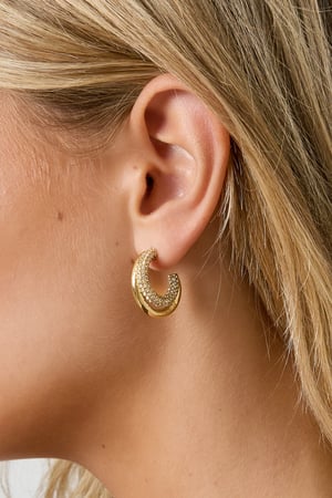 Stainless Steel Hoop Earrings circle Casual Daily Simple Series Women's jewelry h5 Picture3