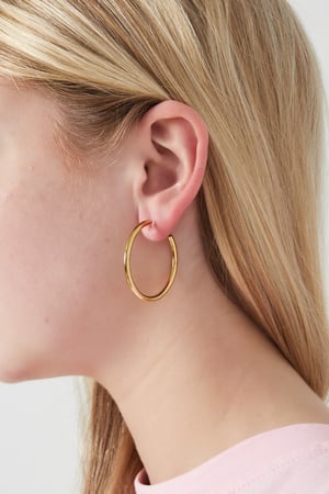 Classic hoop Clip Earrings h5 Picture2