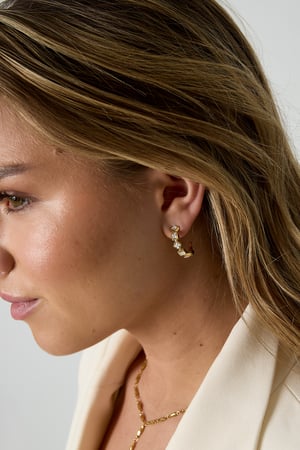 Earrings with alternating stones h5 Picture2