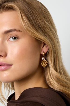 Stainless Steel Drop Earrings Flower Casual Daily Simple Series Women's jewelry h5 Picture2