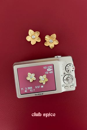 Stainless Steel Stud Earrings Flower Casual Daily Simple Series Women's jewelry h5 Picture4