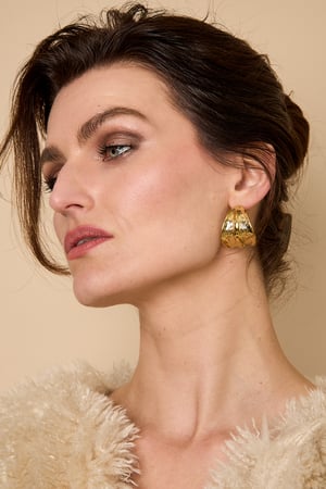 Stainless Steel Hoop Earrings leaf Casual Daily Simple Series Women's jewelry h5 Picture3