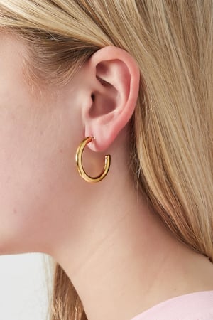 Chic Hoop Clip Earrings h5 Picture2