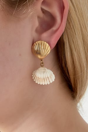 Shell and sea Earring h5 Picture2