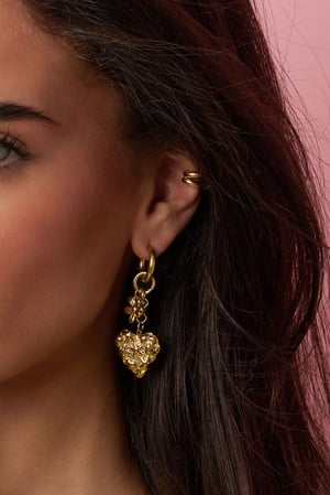 Stainless Steel Drop Earrings Heart Casual Daily Romantic Series Women's jewelry h5 Picture3